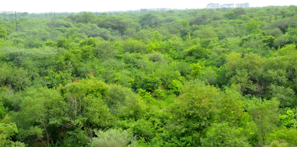 भारत की प्राचीन शक्ति